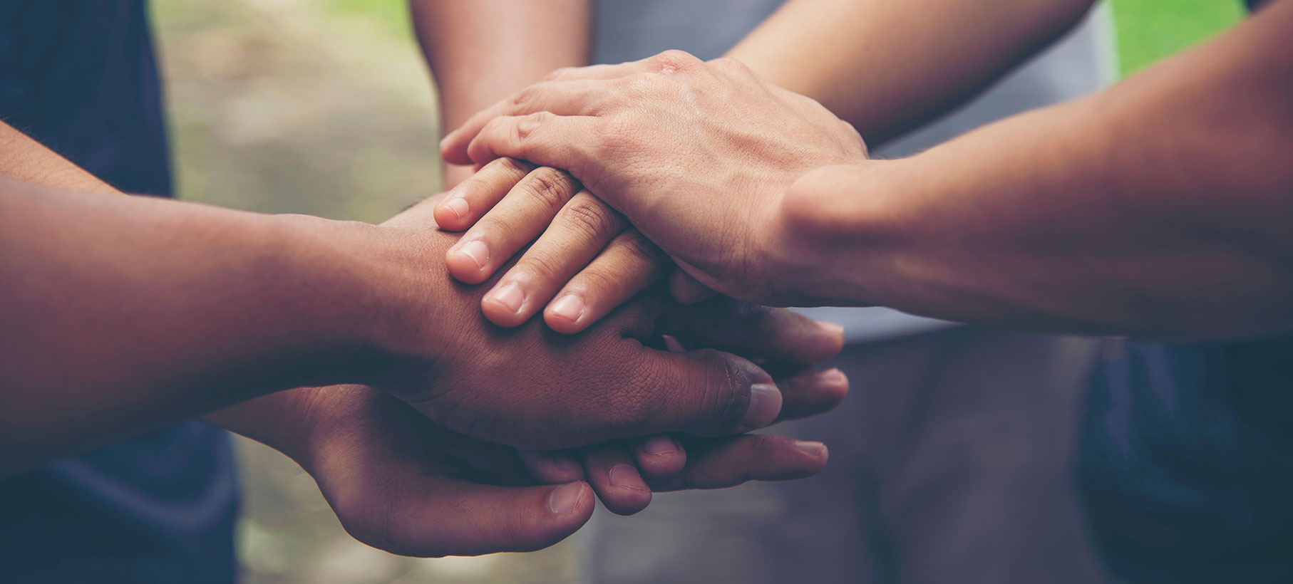 Bark&Bloom - deine vegane Werbeagentur, How to build a Community, Wie man eine Community aufbaut, Bild symbolisiert Gemeinschaft, Zusammengehörigkeit