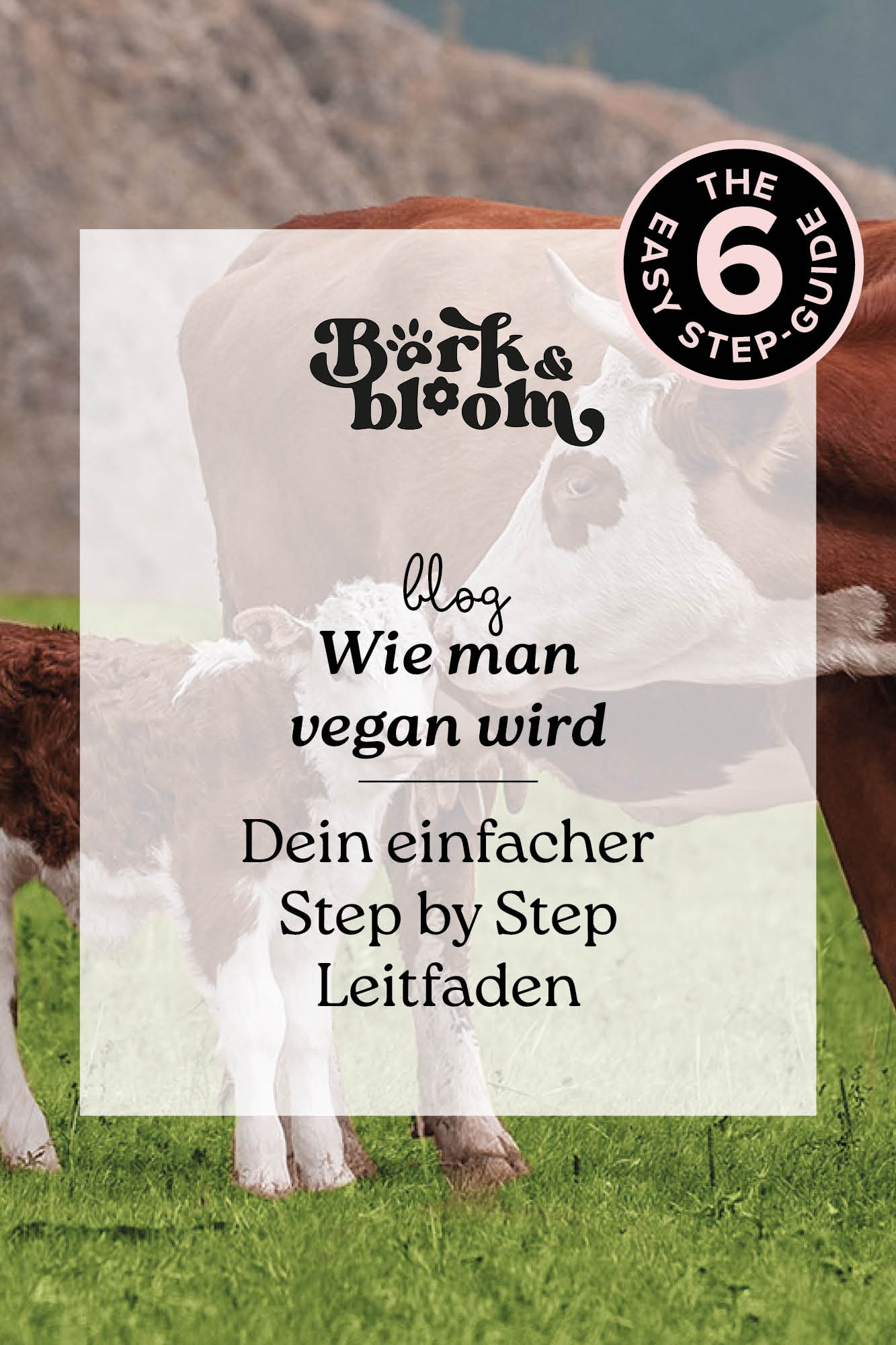 Bark&Bloom - Deine vegane Werbeagentur, Blog, Wie man vegan wird, Easy Step by step Guide, How to go vegan