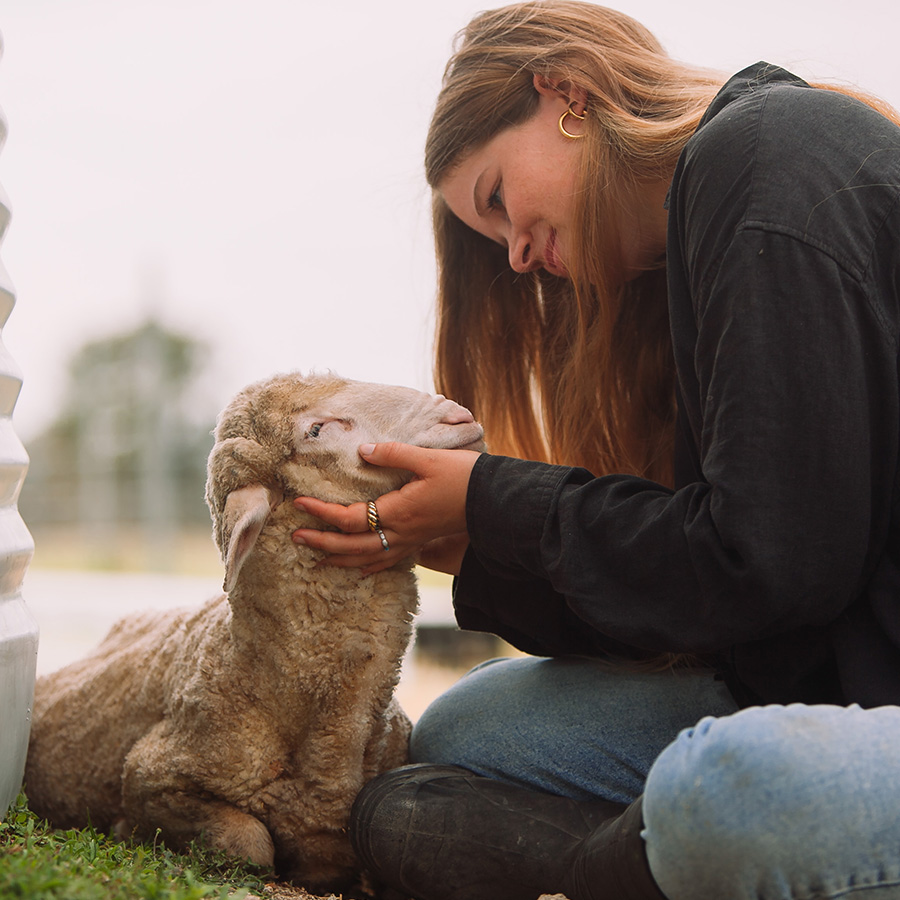 Sophia Raster, Gründerin Bark&Bloom deine freundliche Werbeagentur mit Schaf, Lamm, Sheep, Lamb Billy von Sanctuary, Australia