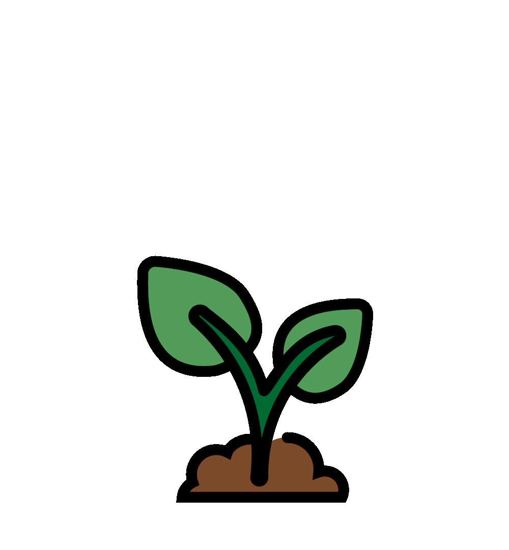 BarkandBloom Animation_Plant 2025-05-17e.prproj